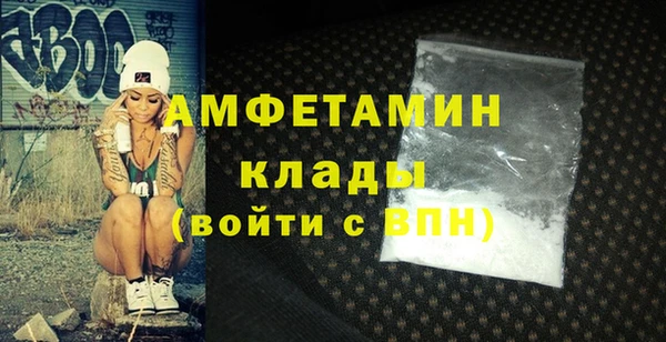 индика Болохово