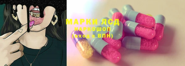 гашик Арсеньев