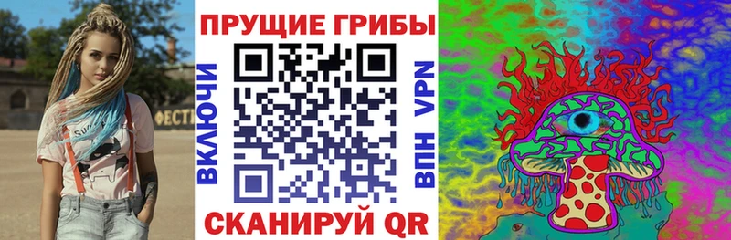 Галлюциногенные грибы Psilocybine cubensis  купить наркоту  Бронницы 